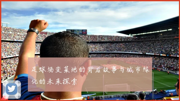 足球场变菜地的背后故事与城市绿化的未来探索